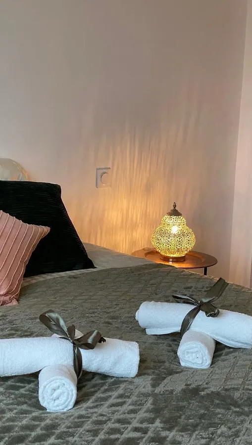 Astonishing Luxury Apartment In The South Of Paris Antony